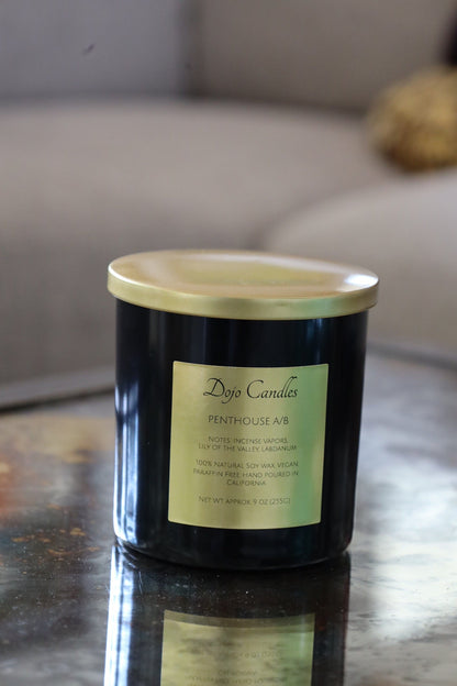 Penthouse a/B (Cire Trudon Spiritus Sancti Dupe) Candle