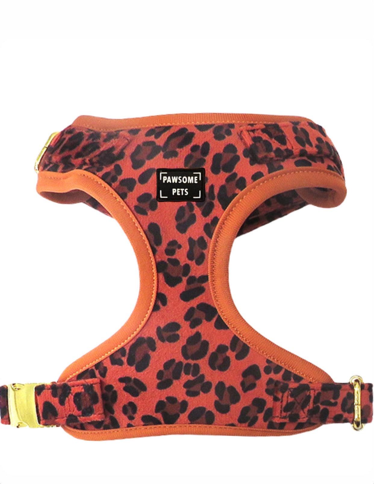 Adjustable Harness Orange