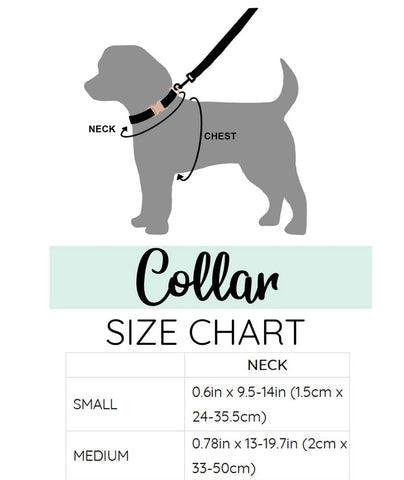 Dog & Cat Collar Brown Multi