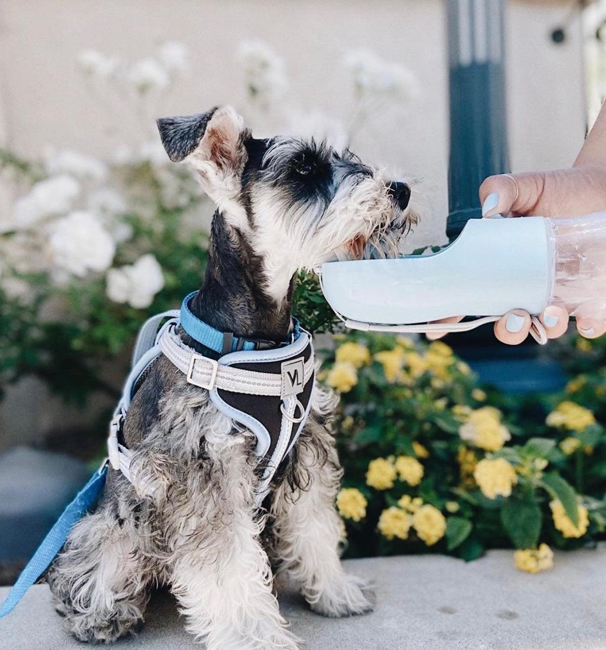 2 in 1 Portable Pet Feeder White