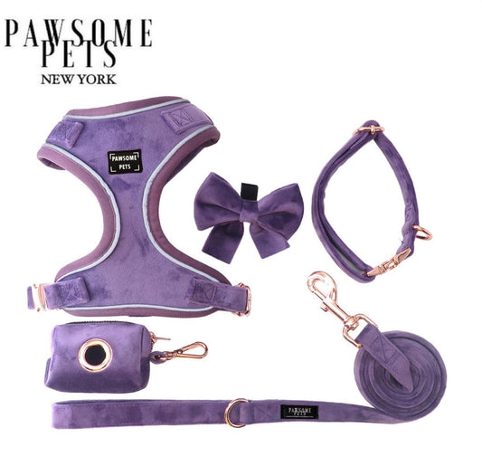 Leash Bundle Purple